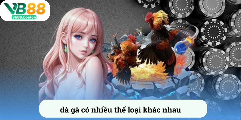Đá gà có nhiều thể loại khác nhau