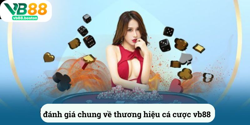 Đánh giá chung về thương hiệu cá cược vb88